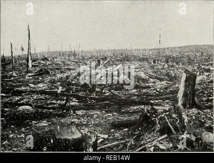 . Conservazione. Le foreste e la silvicoltura. Terreni forestali in Minnesola devastata da un incendio. Questo punto di vista si spiegano in certa misura la diminuzione nel taglio di pino bianco un risultato di indubbio dispendio di tempo o denaro, sono sotto tutti gli aspetti un raccolto e rappresentano il reddito del paese. L'effetto del presente sistema di tassazione è quello di costringere i proprietari del prezioso tim- ber per tagliarlo per sfuggire le tasse esorbitanti e a scoraggiare la crescita di nuove colture di alberi da legname. Non è possibile tagliare e legname di mercato fino a quando non raggiunge determinate dimensioni e più si è permesso di crescere, più valu- in grado di Foto Stock