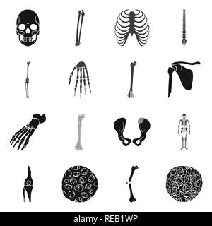 Cranio,femore,nervatura,colonna vertebrale,GINOCCHIO,polso,piedi,hip,apparato muscoloscheletrico,fibre,frattura,l'osteoporosi,morte,gabbia,chiropratica,congiunto,mano,rotto,bacino,caviglia,ossea scientifico,,sano,dolore,cell,monster,gamba,xray,backbone,osso,skeleton,anatomia umana,,organi,medical,medicin,clinica,biology,impostare,vettore,icona,immagine,isolato,raccolta,design,l'elemento,graphic,segno,Black,semplici vettori vettore , Illustrazione Vettoriale