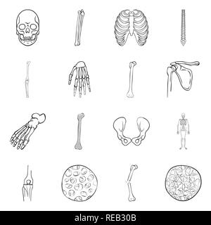 Cranio,femore,nervatura,colonna vertebrale,GINOCCHIO,polso,piedi,hip,apparato muscoloscheletrico,fibre,frattura,l'osteoporosi,morte,gabbia,chiropratica,congiunto,mano,rotto,bacino,caviglia,ossea scientifico,,sano,dolore,cell,monster,gamba,xray,backbone,osso,skeleton,anatomia umana,,organi,medical,medicin,clinica,biology,impostare,vettore,icona,immagine,isolato,raccolta,design,l'elemento,graphic,segno,contorno,linea vettori vettore , Illustrazione Vettoriale