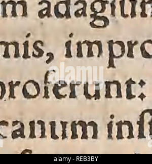 . Conradi Gesneri medici Tigurini HistoriÃ¦ animalium Lib. I. de quadrupedibus uiuiparis : opus philosophis, medicis, grammaticis, philologis, poeÌtis, &AMP; omnibus rerum linguarumqÌ; uariarum studiosis, utilissimum simul iucundissimumqÌ; futurum ... Opere Pre-Linnean; Zoologia. A. v s exiguum eft anima!5fnco!una domus^noftrac(ut Plinius loquitur) rofor rcrtf omnfum* undeafono}quemrodcndofadt,Larincetiamforcx uocatur, quamuis aliquiitadiltin. Â guant,utmusdomcftkus fit,forex fylueftris,SipontinusÂ". Plimus certeforicem un murc manifefte difttnguit,foricem fylueftrem faciens,8t" maiorem,auric Foto Stock