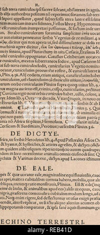 . Conradi Gesneri medici Tigurini HistoriÃ¦ animalium Lib. I. de quadrupedibus uiuiparis : opus philosophis, medicis, grammaticis, philologis, poeÌtis, &AMP; omnibus rerum linguarumqÌ; uariarum studiosis, utilissimum simul iucundissimumqÌ; futurum ... Opere Pre-Linnean; Zoologia. 400 De Quadrupeditus num mterpretatiir,PlmiufortÂ" imitatus,a eum qui terreftr è eft crinaceum conuertit5Maffarmst Ego aquatilem echinum un LatiÂ" erinaceu nis appeilari authorcm non habeo: (iicetltali uulgoboÂ" die ricril tum terreftrem tumma rinum appellet pro ericio pera* phaerefi'n,)Qiiamobrem &AMP; Maf= N farium Foto Stock