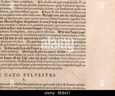 . Conradi Gesneri medici Tigurini HistoriÃ¦ animalium Lib. I. de quadrupedibus uiuiparis : opus philosophis, medicis, grammaticis, philologis, poeÌtis, &AMP; omnibus rerum linguarumqÌ; uariarum studiosis, utilissimum simul iucundissimumqÌ; futurum ... Opere Pre-Linnean; Zoologia. 554 iJe Quadrupcdibus j terdumifimiles domefticis per omnia,maiores tantum, denfiorecj; â€V oblongfore pilo: Colore fufc^ mi tiel ut Aibertus loquitur grifei.Quem ego circafinem Septembris apud nos captum conftderaui hiiflj iumiodi fuitXongitudinis un fronte ad extremam cauda,dodrantes quatuorXinea njgra per dorfum | def Foto Stock