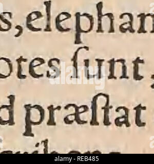 . Conradi Gesneri medici Tigurini HistoriÃ¦ animalium Lib. I. de quadrupedibus uiuiparis : opus philosophis, medicis, grammaticis, philologis, poeÌtis, &AMP; omnibus rerum linguarumqÌ; uariarum studiosis, utilissimum simul iucundissimumqÌ; futurum ... Opere Pre-Linnean; Zoologia. Riparum Euphratis mentionem,ficIegimus:Euri uenti flatus fecutiincidimusinmalignas feras, de quarum capitibus uelut gladrj un acuta uertice ferrataqj eminebant ofla.Et hac arietino più aduer* fus homines ctirrebant: Tum inuidaj plurimorum militum clypeos cornu fuo tranfuerberabant. Qtiarum occifis annuncio millibus modumotfo Foto Stock