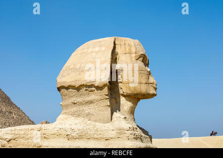 Vista laterale del gran capo dell'iconico scultura monumentale, la Grande Sfinge di Giza, altopiano di Giza, Cairo, Egitto contro un cielo blu chiaro Foto Stock