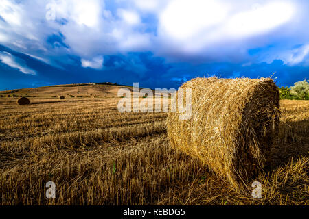 Le tempeste estive rage su raccolte di recente campo di grano Foto Stock