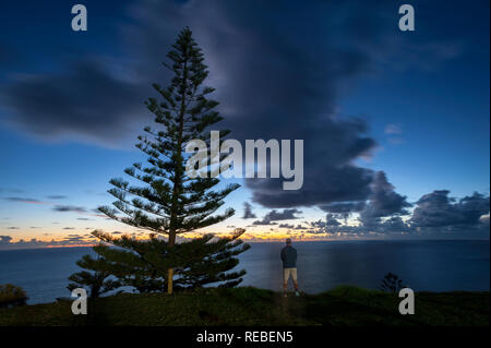 Un uomo che guarda al tramonto all'orizzonte con un pino di Norfolk in silhouette contro big sky Foto Stock