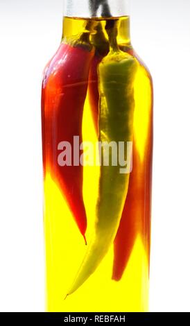 Olio aromatizzato al peperoncino, peperoncini piccanti in olio di oliva, per piatti piccanti e rendendo l'olio caldo per il condimento Foto Stock