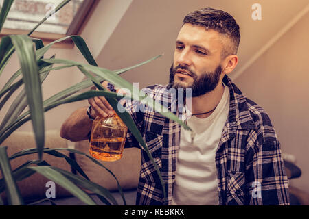 Nizza uomo barbuto spruzzando il fiore con acqua Foto Stock