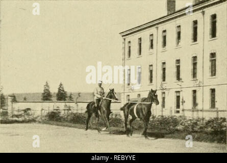 . Du Cheval mÃ" et bien mis : suite de causeries Ã©crites au fil de la pratique. Cavalli; equitazione. T^ig- 67. Â ArchimÃ¨de et Bercail en tandem.. Tig. 68. Â Les mÃªmes, galop Ã tiroite.. Si prega di notare che queste immagini vengono estratte dalla pagina sottoposta a scansione di immagini che possono essere state migliorate digitalmente per la leggibilità - Colorazione e aspetto di queste illustrazioni potrebbero non perfettamente assomigliano al lavoro originale. Caubert, Jean Baptiste Charles Marie. Parigi : Adolphe Le Goupy Foto Stock