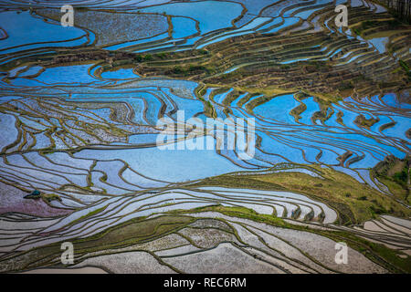 Yuanyang County (Cinese semplificato: 元阳县; cinese tradizionale: 元陽縣) si trova nella prefettura di Honghe nel sud-est della provincia di Yunnan in Cina. Foto Stock