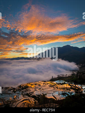 Yuanyang County (Cinese semplificato: 元阳县; cinese tradizionale: 元陽縣) si trova nella prefettura di Honghe nel sud-est della provincia di Yunnan in Cina. Foto Stock