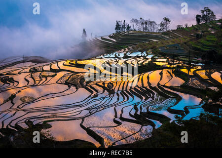 Yuanyang County (Cinese semplificato: 元阳县; cinese tradizionale: 元陽縣) si trova nella prefettura di Honghe nel sud-est della provincia di Yunnan in Cina. Foto Stock