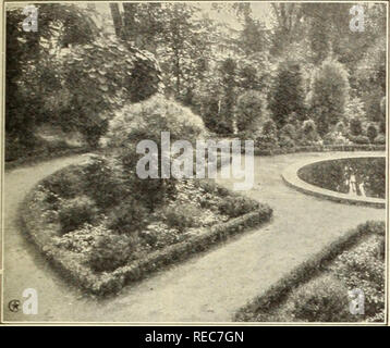 . La stella Conard roses 1924. Rose cultura; rose, piante, semi ornamentali cataloghi. Utile siepi ornamentali. E HARDY CONFINANTI CON PIANTE nuova casella di Hardy-CRESPINO HARDY OVUNQUE IN U. S. A. Questo nuovo dwarf Crespino viene a colmare la necessità da lungo tempo sentita di una pianta edying che nana è in crescita, libera da tutte le malattie e pesti di insetto, e assolutamente hardy ovunque negli Stati Uniti. Il fogliame è piccola e dolce. Le foglie giovani sono un bellissimo mare verde smeraldo in primavera, cambiando in una piacevole soft verde durante l'estate e ricca di colore rosso in autunno. In molte parti di questo paese, giardino-letti Foto Stock