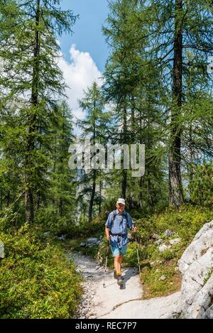 Gli escursionisti, sentiero escursionistico al Kärlingerhaus, Parco Nazionale di Berchtesgaden, Berchtesgadener Land, Alta Baviera, Baviera, Germania Foto Stock