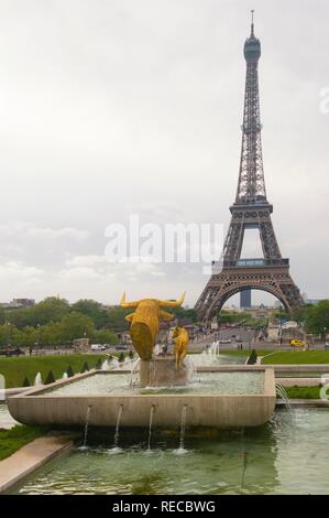 Torre Eiffel visto dal Palais de Chaillot, Parigi, Francia, Europa Foto Stock