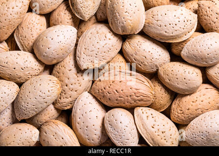 Mandorle in un guscio di sfondo, close-up, vista dall'alto Foto Stock