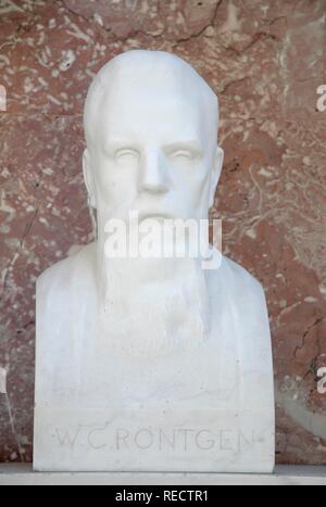 Busto di Wilhelm Conrad Röntgen, il fisico tedesco Foto Stock