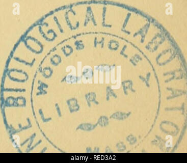 . Comptes rendus des sÃ©ances de la SociÃ©tÃ© de Biologie et de ses filiales. Biologia. Â 81 â posizione rÃ©ticulÃ©e est formÃ© d'onu rÃ©ticnlum Ã mailles ammende comblÃ©es par de petites cellules lymphatiques. C'est lÃ que siÃ¨gent les lÃ©tanze amyloÃ¯des quand il y en a, maisiaplupart de cesÃ®lotssont absolument normaux. Les sinus lymphatiques sont extrÃªmement ampia, si sul les confronta Ã l'Ã©tat ordinaire ; ils montrent les tractus qui les traversent en unissant le tissu rÃ©ticulÃ© avec les cloisons fiberuses qui limitent la pí©riphrase des sinus. Sur ces cloisons sont disposÃ©es soit de grandes c Foto Stock