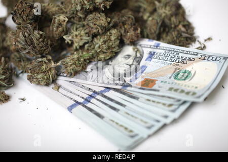 La cannabis la concezione di business. La marijuana medica e denaro Foto Stock