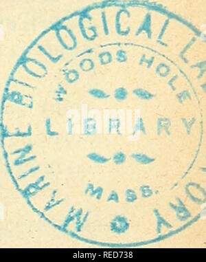 . Comptes rendus des sÃ©ances de la SociÃ©tÃ© de Biologie et de ses filiales. Biologia. SÃANCE du 29 juillet 241 Nous avons rÃ©Pí©tÃ© derniÃ¨rement nos expÃ©riences, cette fois avec le liquide pí©rientÃ©rique de Vascaris megalocephalis, recueilli d'aprÃ¨s la tecnica indiquÃ©e par Weinberg. Les rÃ©sultats obtenus ainsi ne peu- sfiato Ãªtre donc mis que sur le compte des produits sÃ©crÃ©tÃ©s par. le ver; ils ne peuvent Ãªtre attribuÃ©s Ã l'azione di sostanze des provenant de la dÃ©sagrÃ©chiesta. Ces expÃ©riences sont faites sur une trentaine de cobayes prÃ©parÃ©s par une iniezione sous-cutanÃ©e de Foto Stock