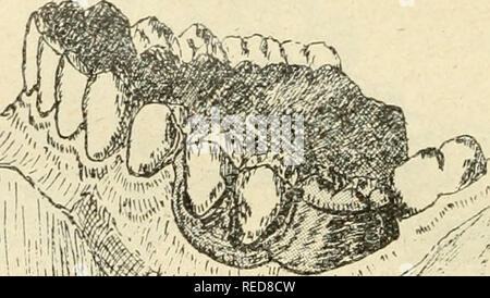 . Compte Rendu. La scienza; scienza -- Congressi. FiG. 18.. iiiiiiffiil '. Si prega di notare che queste immagini vengono estratte dalla pagina sottoposta a scansione di immagini che possono essere state migliorate digitalmente per la leggibilità - Colorazione e aspetto di queste illustrazioni potrebbero non perfettamente assomigliano al lavoro originale. Associazione franaise pour l'avancement des sciences. Parigi, Segretariato de lAssociation Foto Stock