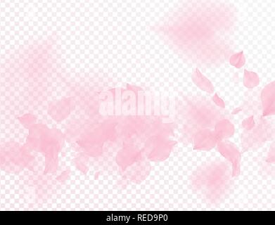 Rosa sakura fiore petali caduta vettore sfondo trasparente. 3D Romantico San Valentino di illustrazione. Offerta di primavera la luce sullo sfondo. Gara di sovrapposizione Illustrazione Vettoriale