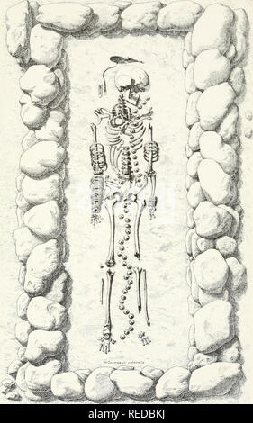 . Compte Rendu. La scienza; scienza -- Congressi. Association Française P. Im.p jLRoux,rue Centrale, 21,Lyo Chan'.re d:rex&lt;t.l3 77 E. CHANTRE   LES NECROPOLES DU PREMIER ETÀ DE FER DES ALPES FRANÇAISES. Si prega di notare che queste immagini vengono estratte dalla pagina sottoposta a scansione di immagini che possono essere state migliorate digitalmente per la leggibilità - Colorazione e aspetto di queste illustrazioni potrebbero non perfettamente assomigliano al lavoro originale. Associazione franaise pour l'avancement des sciences. Parigi, Segretariato de lAssociation Foto Stock