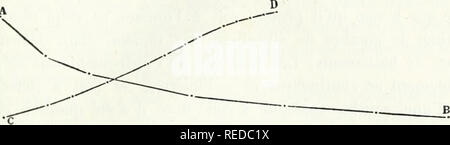 . Compte Rendu. La scienza; scienza -- Congressi. E. MERCAD1EK. Â ÃLECTRO-DIAPASON una variabile PÃRIODE 253 curseurs, les vibrazioni du diapason, concurremment avec celles d'une horloge Ã secondi. Ces courbes tournent d'abord leur convexitÃ© vers. 100Â"-' 3Ã"e 2così icosr icor jocsr Fig. 27. l'ax des x, puis changent de courbure en prÃ©sentant punto delle Nazioni Unite d'in- llexion ; elles s'Ã©lÃ¨vent ensuite trí¨s-lentement, en tendant vers une limite qui est prÃ©cisÃ©ment le nombre des pí©riodes des instruments sans curseurs, et qu'onatteint trí¨s-sensiblement quand les curseurs sont encore Ã quelques centimÃ¨t Foto Stock