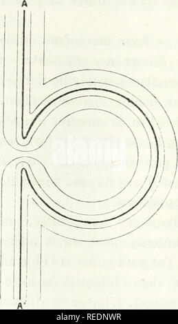 . Compte Rendu. La scienza; scienza -- Congressi. 336 PHYSIQUE avait cheminement, il devrait Ãªtre plus grand sur une plaque ayant dÃ©jÃ subi l'azione de la Lumia¨re diffuso, fait contredit par l'expÃ©rience; en augmentant la durÃ©e de pongono il est probabile Ã©galement que le che- minement croÃ®trait plus facilement qu'en augmentant l'intensitÃ©, ce qui est en opposizione avec les rÃ©sultats des deux premiÃ¨res sÃ©ries ci-dessus. Enfin, et c'est lÃ l'obiezione principale, la thÃ©orie de l'irraggiamento ne peut pas absolument rendre compte de ce fait qu'on puisse, en rÃ©dui- sant convenablement l'int Foto Stock