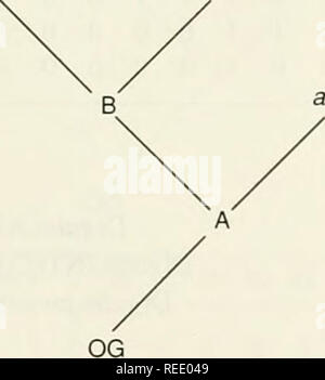 . Il Compleat cladist : un primer di procedure filogenetico. Analisi Cladistic; Zoologia -- classificazione; Filogenesi. Serie di trasformazione di detto taxon 1 2 22 36 39 40 42 48 63 69 78 79 81 94 97 100102 110 111112 114120124131134 OG 0 0 0 1 0 1 1 0 0 0 0 0 1 0 0 0 pelag 0 1 0 1 0 1 1 1 0 0 0 0 1 0 0 1 arist 0 0 1 1 0 1 1 0 0 1 0 0 1 0 0 1 A 0 0 0 1 0 ] I 0 0 0 0 0 1 0 0 1 1000000100 10 0 0 0 0 0 10 1 0 1 10 0 0 0 10 0 1000000100 3. Adesso scegliete MnVe. D[ttn7e,INT(A)] = 5 Diiirile.A) = 5 D(urile.OG) = 6 D[urileMT{pelag)] = 3 Unisciti a urile pelag da padre B. Calcolare B. pelag urile arist. D(urile,pelag Foto Stock