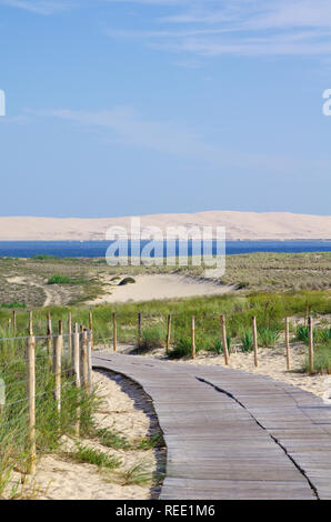 Vista sulla duna del Pyla e la baia di Arcachon. Aquitaine, Francia Foto Stock