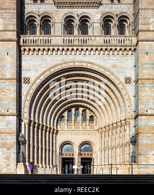 Museo di Storia Naturale Foto Stock