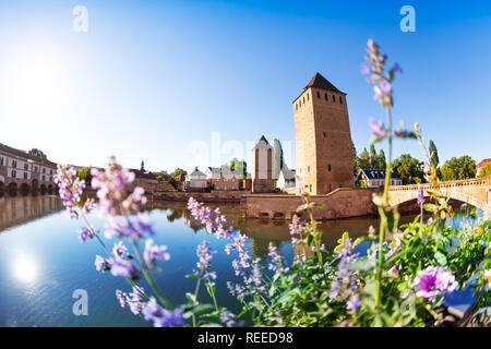 Grande Ile isola nel centro storico di Strasburgo Foto Stock