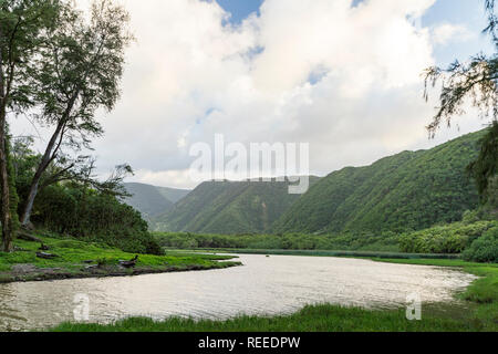 Lussureggiante Valle Polulu sulla Big Island delle Hawaii Foto Stock