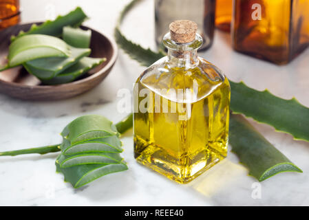Aloe vera olio essenziale. Aloe vera olio per la cura della pelle, un centro termale e benessere, massaggi, aromaterapia. Piante medicinali Foto Stock