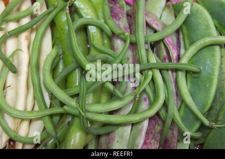 Diverse le cialde tipici del Mediterraneo, come i fagioli, carruba, fagioli, che vengono utilizzati nella preparazione di piatti come la paella valenciana Foto Stock