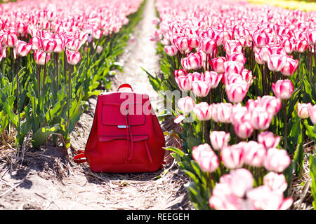 Zaino in righe di tulipani. La molla di vestiti. La forza della molla. Foto Stock