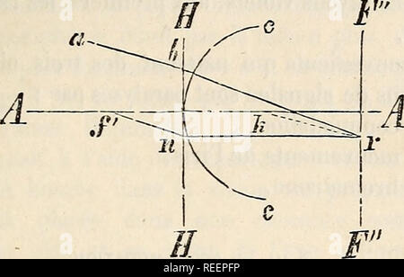 . Compendio de physiologie humaine. Fisiologia; fisiologia. Sezione SEPTIEME. - ORGANES DES SENS. 485 ligne passe par le punto focale f anterieur et coupe en n le capitali del piano; de n sul pneumatico nr parallele a l'ax AA et a. Fig. 47. l'endroit ou une droite tiree de un par le punto nodale vers k r coupe la ligne nr, et par conseguente en r, se trouve le point-image cherche. Quand la convergenza des rayons lateraux un lieu en avant ou en arriere de la retine, il se produit sur elle Nazioni Unite petit. Si prega di notare che queste immagini vengono estratte dalla pagina sottoposta a scansione di immagini che possono essere state migliorate digitalmente per ri Foto Stock