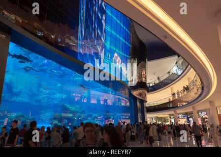 Le persone di fronte Dubai Aquarium nel centro commerciale di Dubai, Emirati Arabi Uniti Foto Stock