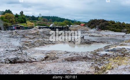 Hells Gate, Nuova Zelanda - 1 marzo 2018. Aleggia di vapore aumento dalle Piscine geotermali presso il Parco geotermico e spa noto come Hell's Gate. Un giovane ma Foto Stock