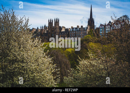 Vista del Royal Mile da Princes Street Gardens, Edimburgo, Scozia, Regno Unito Foto Stock