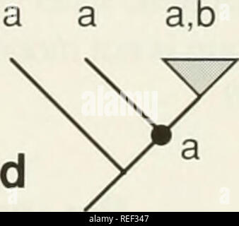 . Il Compleat cladist : un primer di procedure filogenetico. Analisi Cladistic; Zoologia -- classificazione; Filogenesi. IG node IG internodo nodo OG OGs IG OGs IG. a,b fig. 3.1.-a. Tree che illustra alcuni per i termini generali utilizzati nel presente capitolo, b. Note relazioni outgroup. c. Sconosciuto relazioni outgroup, d. Un carattere determinante decisione di polarità con "a" al nodo OG. e. Un carattere equivoco di polarità con decisione '"a.b" presso il nodo OG.. Si prega di notare che queste immagini vengono estratte dalla pagina sottoposta a scansione di immagini che possono essere state migliorate digitalmente per la leggibilità - colorat Foto Stock