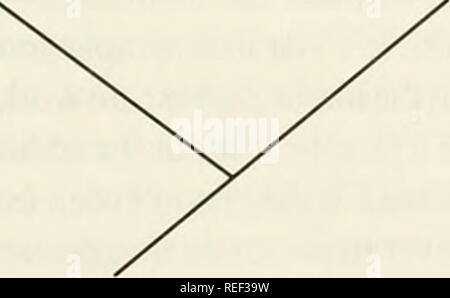 . Il Compleat cladist : un primer di procedure filogenetico. Analisi Cladistic; Zoologia -- classificazione; Filogenesi. Capitolo 2 Base tecniche filogenetiche systematists filogenetico di lavorare sotto il principio che non vi è un unico e storicamente unica storia genealogica concernenti tutti gli organismi. Inoltre, poiché i caratteri sono caratteristiche di organismi, essi dovrebbero avere un posto sulla struttura ad albero che rappresenta questa storia. Il posto giusto per un carattere sulla struttura ad albero è dove è nata durante la storia evolutiva. Un "vero" albero dovrebbe essere quello su cui i taxa sono collocati nel corretto genealog Foto Stock