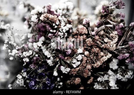 Fiori secchi in composizione astratta Foto Stock