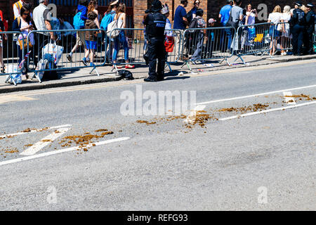 WINDSOR, BERKSHIRE, Regno Unito - 19 Maggio 2018: letame di cavallo a sinistra su Central High Street dopo il Royal Ascot Landau carrello Foto Stock