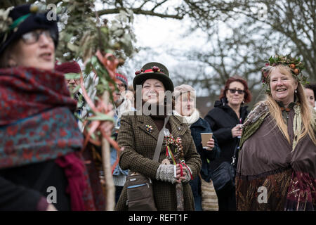 Glastonbury, Regno Unito. 12 gen 2019. Wassailing in Glastonbury Abbey orchard dall'ordine dei cantori, Ovates & Druids. Credito: Guy Corbishley/Alamy Live News Foto Stock