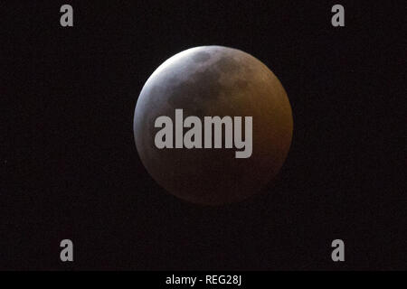 20 gennaio 2019 - Los Angeles, CALIFORNIA, STATI UNITI D'AMERICA - Il Super sangue Luna Wolf diventa pronto per l'eclisse totale su gennaio 20, 2019 .ARMANDO ARORIZO (credito Immagine: © Armando Arorizo/Prensa Internacional via ZUMA filo) Foto Stock