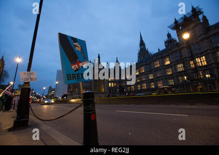 Londra, Regno Unito. Il 21 gennaio 2019. Cartelloni brexit opposte al di fuori del Parlamento Credito: George Wright Cracknell/Alamy Live News Foto Stock