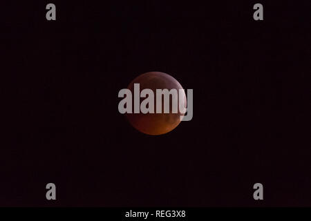 Londra, Regno Unito. Xxi gen, 2019. La luna è visibile durante un'eclissi lunare totale, noto come il 'Super sangue Wolf Moon", nel cielo sopra la parte nord ovest di Londra, UK, Gennaio 21, 2019. Credito: Stephen Chung/Xinhua/Alamy Live News Foto Stock