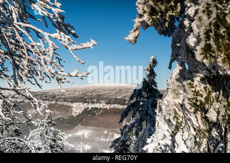 Braunlage, Deutschland. Xx gen, 2019. 20.01.2019, inverno impressione con alberi innevati nel cielo azzurro e sole con vista da Wurmberg sul Brocken a Braunlage. | Utilizzo di credito in tutto il mondo: dpa/Alamy Live News Foto Stock